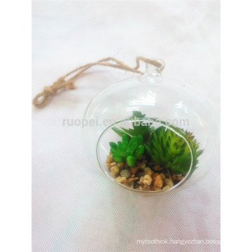 2015 beautiful plastic mixed potted green succulent plant with round glass